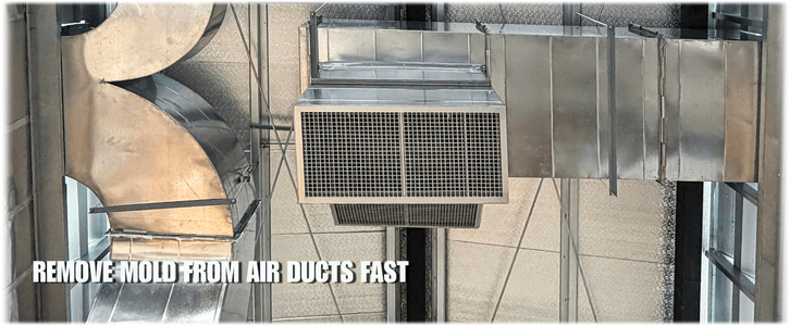 Air Duct Mold Removal in Princeton NJ